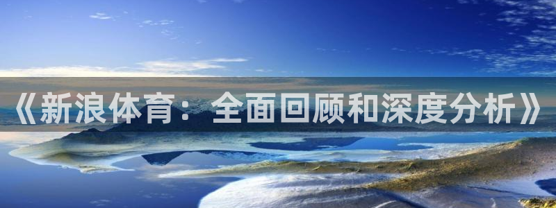 《新浪体育：全面回顾和深度分析》