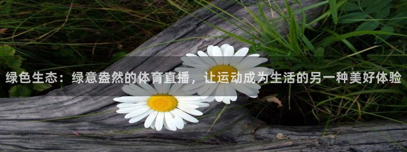 绿色生态：绿意盎然的体育直播，让运动成为生活的另一种美好体验