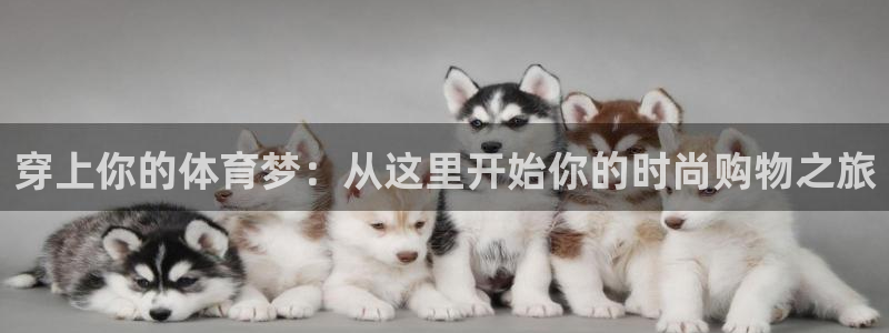 穿上你的体育梦：从这里开始你的时尚购物之旅